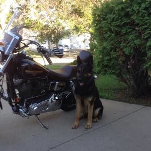 Meet your Posher, Ron